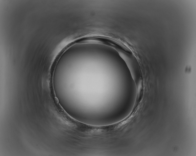 X0000093150152200709261452