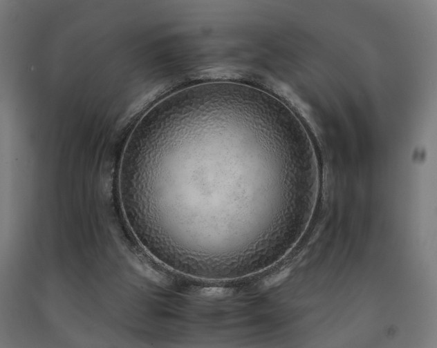 X0000093150153200709261452
