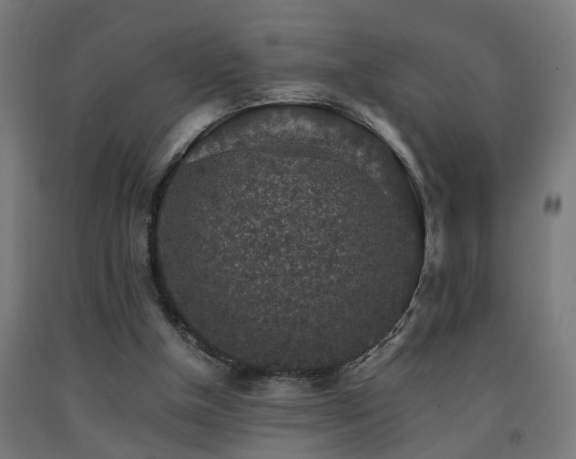 X0000093150154200709261452