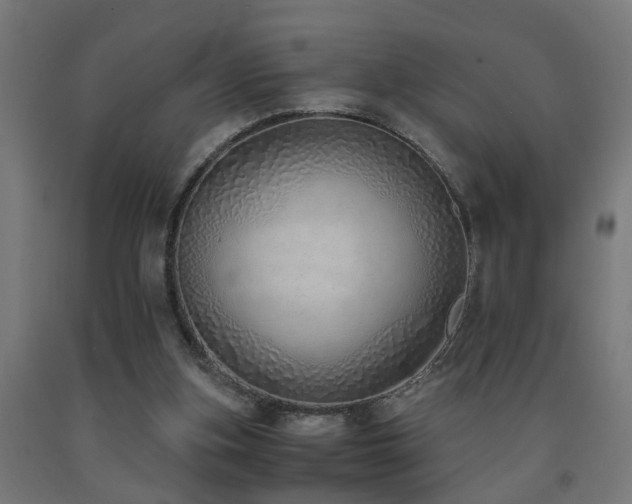 X0000093150155200709261452