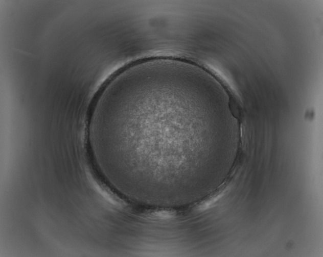 X0000093150156200709261452