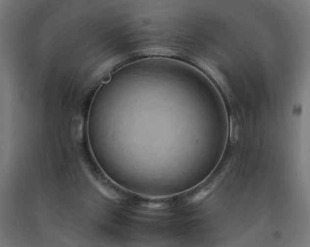 X0000093150157200709261452