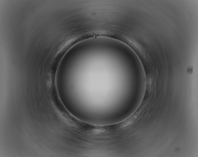 X0000093150158200709261453