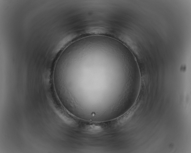 X0000093150159200709261453