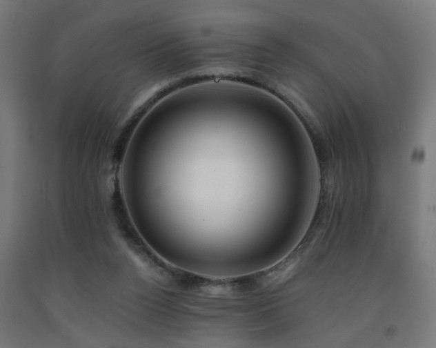 X0000093150160200709261453