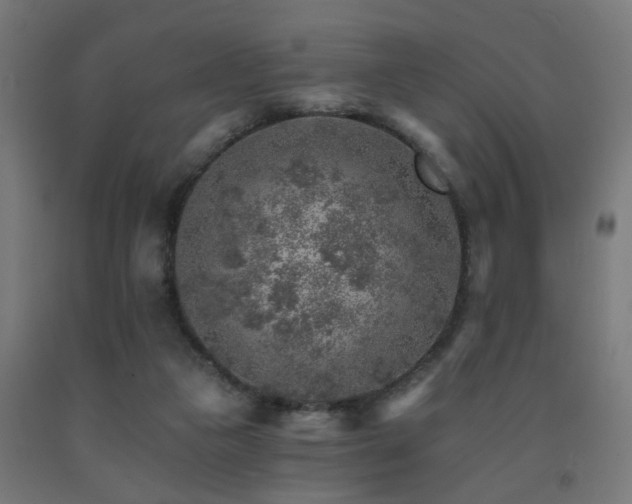 X0000093150161200709261453