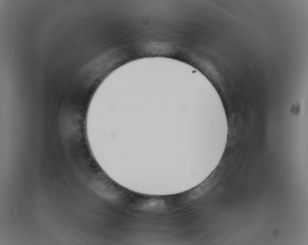 X0000093150162200709261453