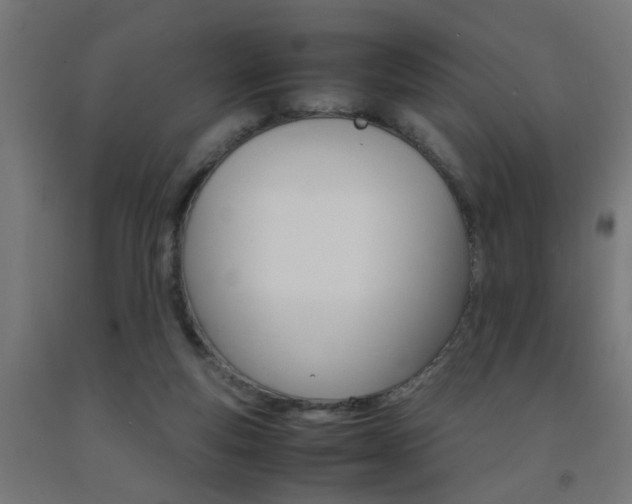 X0000093150163200709261453