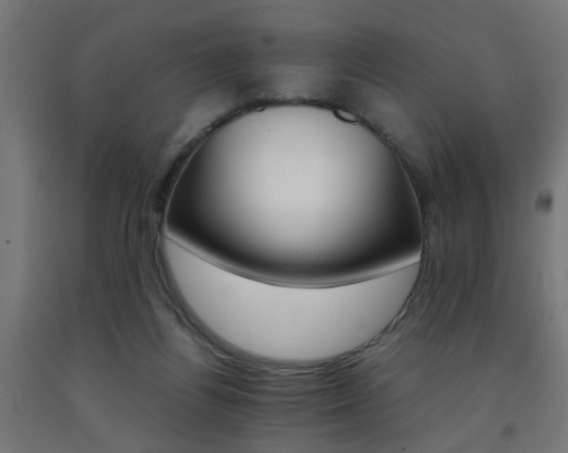 X0000093150164200709261453