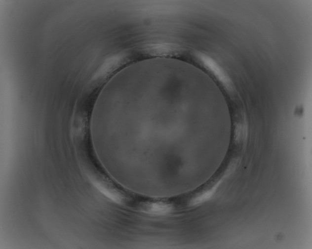 X0000093150165200709261453