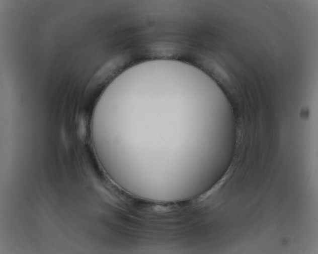 X0000093150166200709261453