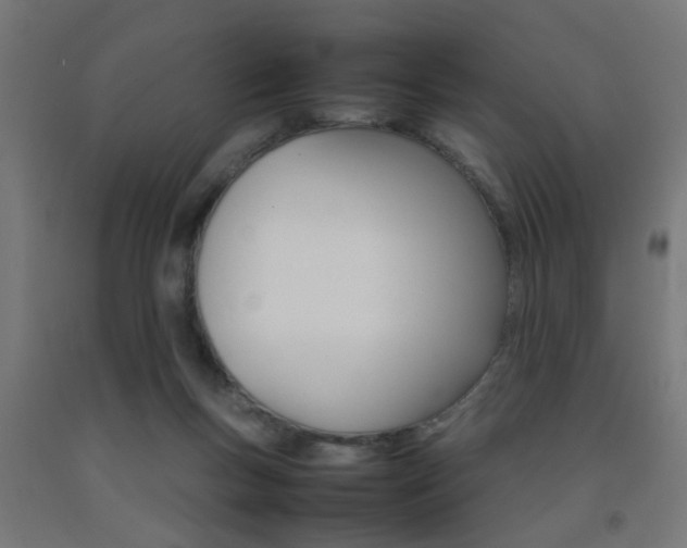X0000093150167200709261453