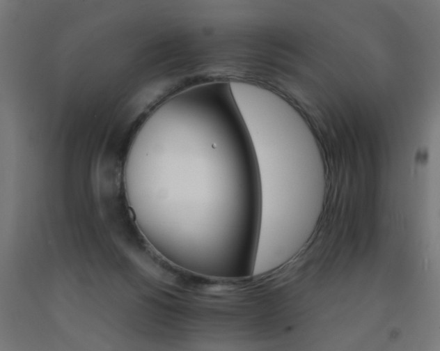 X0000093150168200709261453