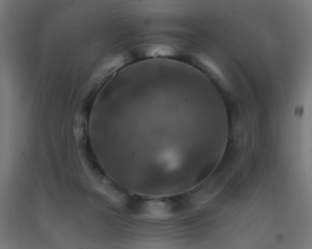 X0000093150169200709261453