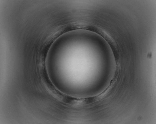 X0000093150170200709261453