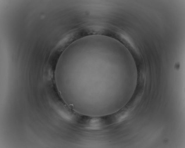 X0000093150173200709261453
