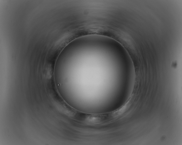 X0000093150174200709261453