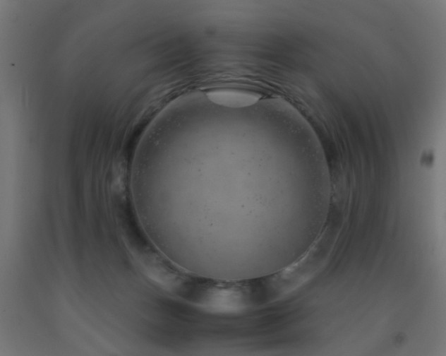 X0000093150175200709261453