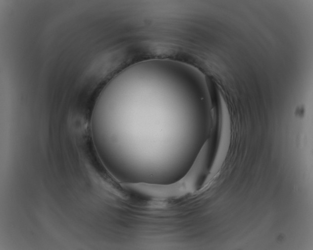 X0000093150176200709261453
