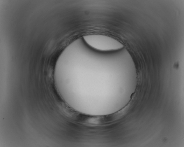 X0000093150178200709261453