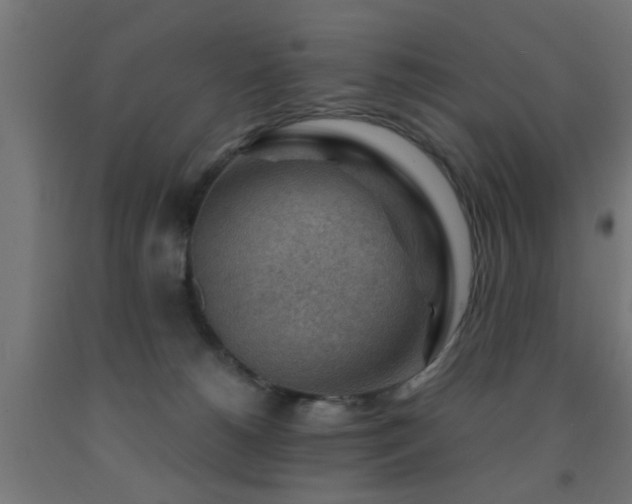 X0000093150180200709261453