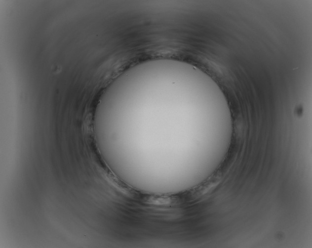 X0000093150181200709261453