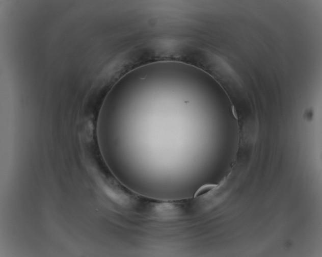 X0000093150183200709261453