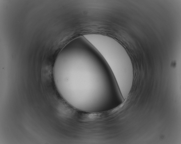 X0000093150184200709261453