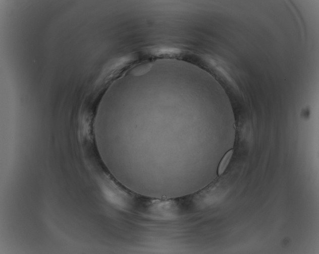 X0000093150185200709261453
