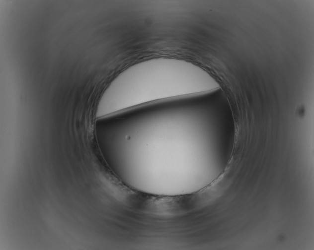 X0000093150186200709261453