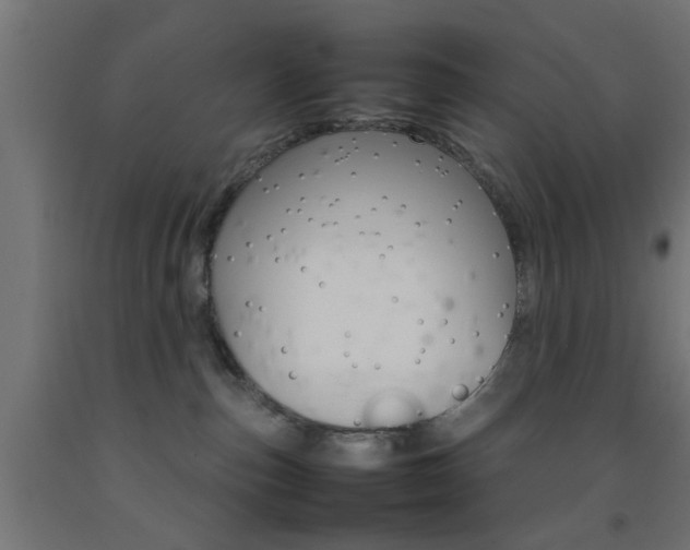 X0000093150187200709261453