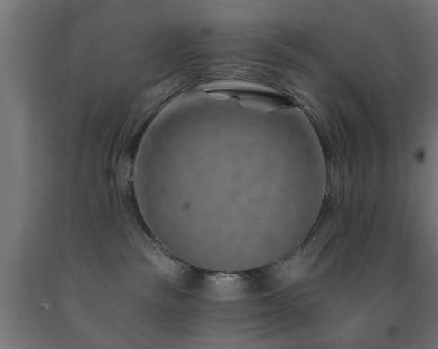 X0000093150189200709261453