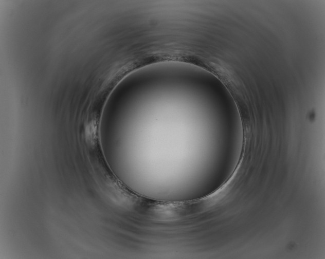 X0000093150190200709261453