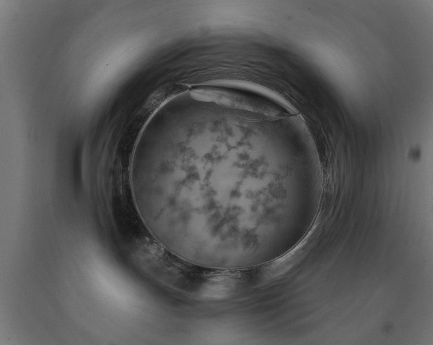 X0000093150191200709261453