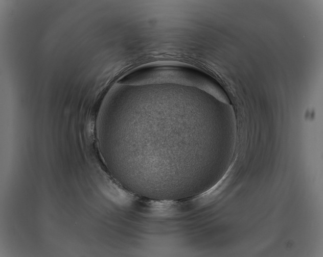 X0000093150192200709261453