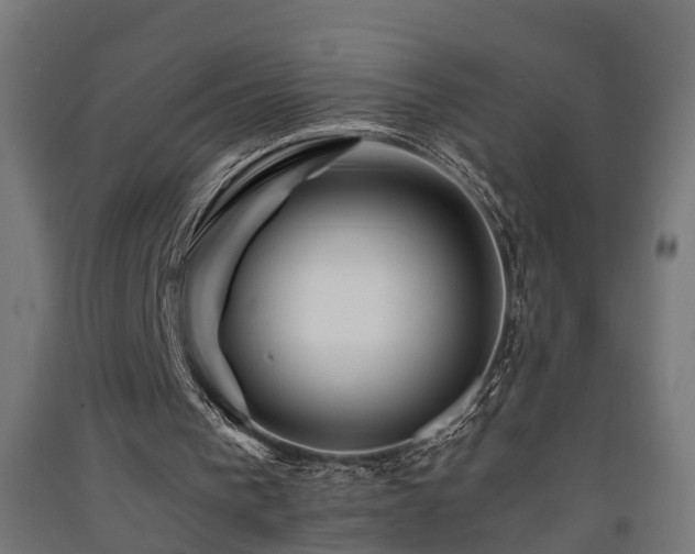 X0000093150193200709261452