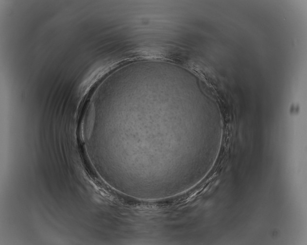 X0000093150194200709261452