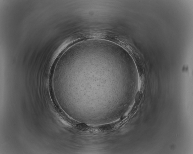 X0000093150195200709261452