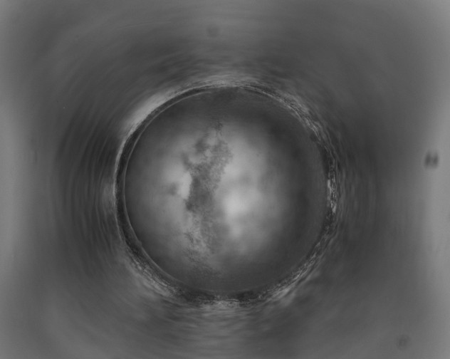 X0000093150196200709261452