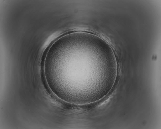 X0000093150199200709261452