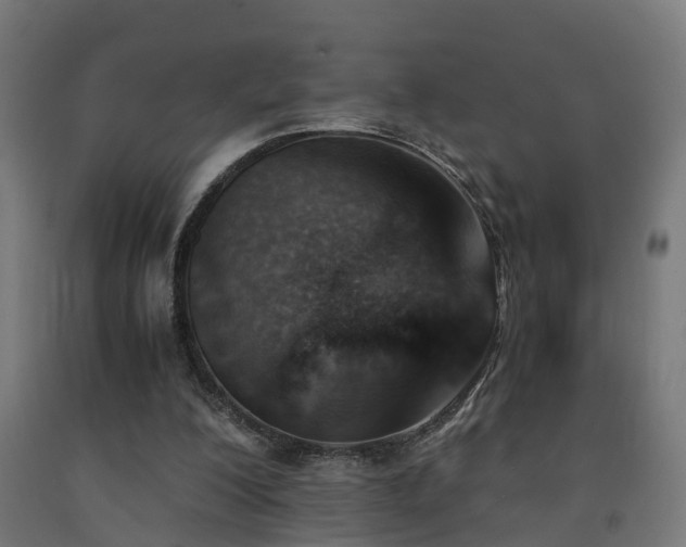 X0000093150200200709261452