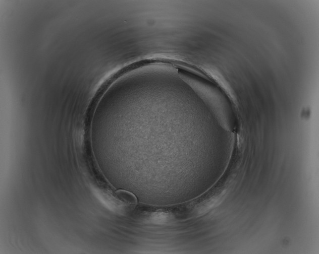 X0000093150204200709261452