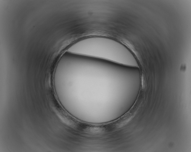 X0000093150205200709261452