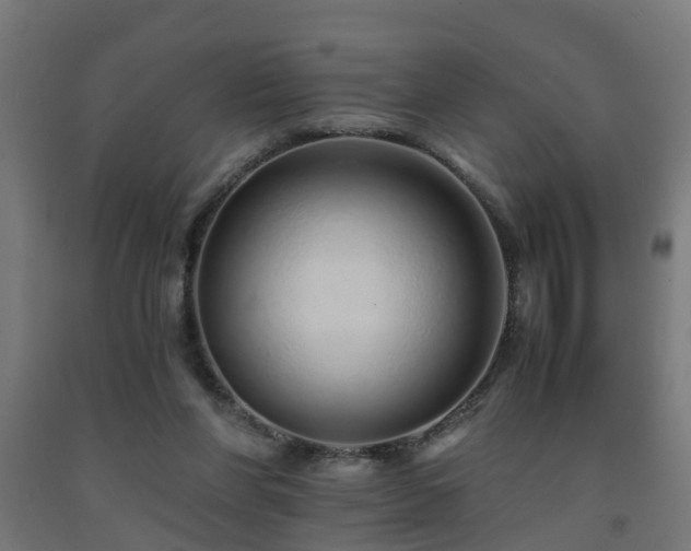 X0000093150206200709261452