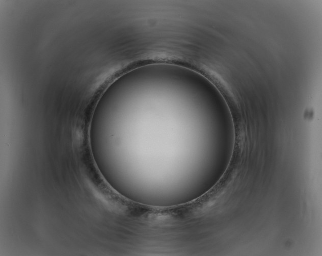 X0000093150208200709261452