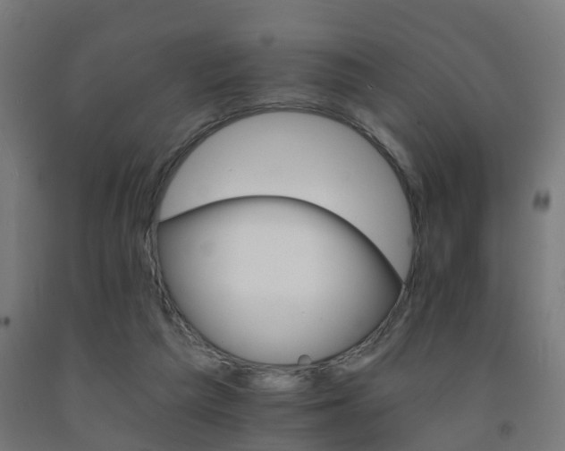 X0000093150209200709261452