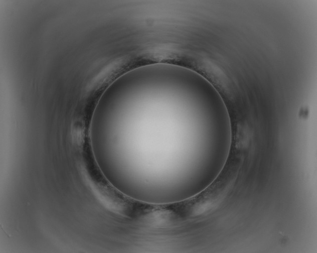 X0000093150210200709261452