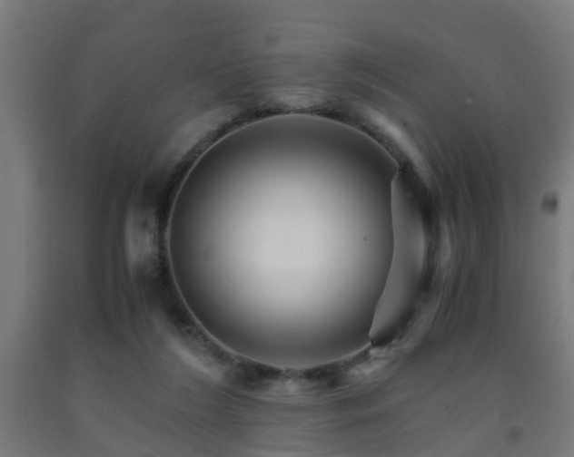 X0000093150212200709261452