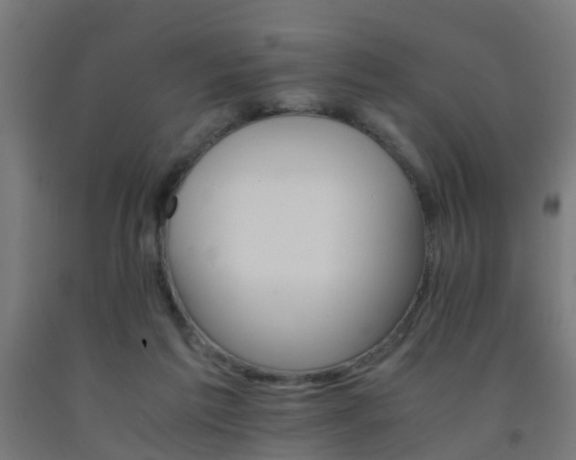 X0000093150213200709261452