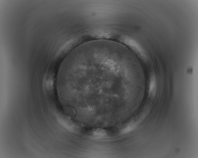 X0000093150214200709261452